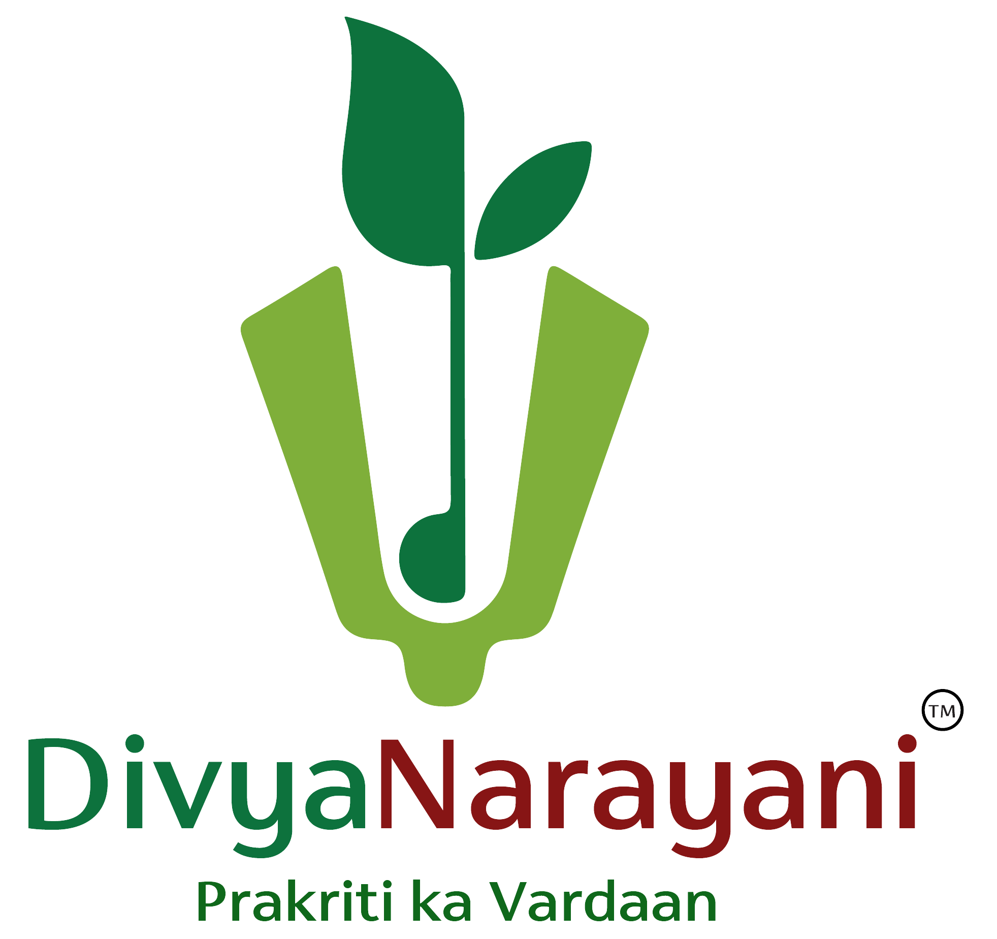 divyanarayani