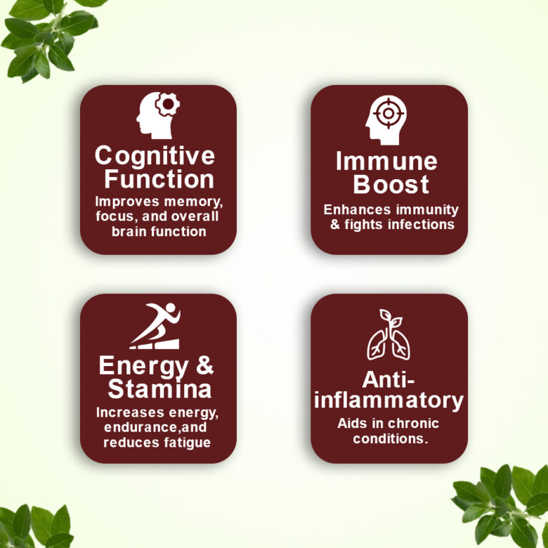 Ashwagandha Powder-100gms - Image 5